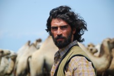 Shamil  Aliyev