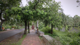 Sayan Saphui