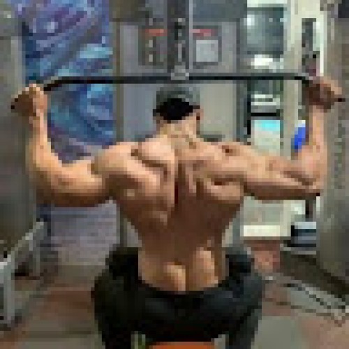 AVI KAUSHIK