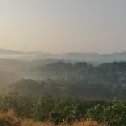 RU ajeesh