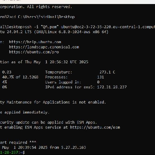 Netsparker QA