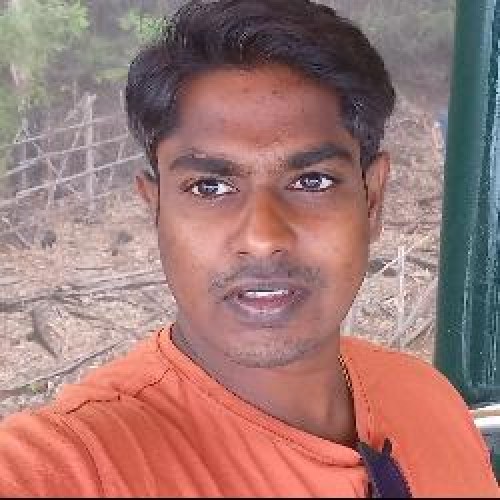 Amalraj  V
