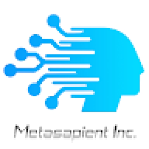 Metasapient Inc.