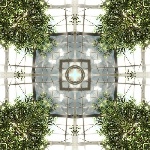 Garden  Xub