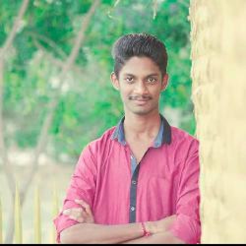 Vimal  Raj 