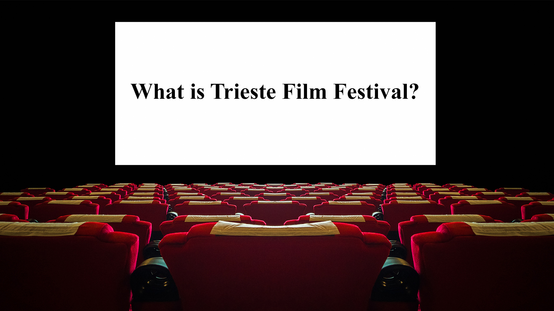 What is Trieste Film Festival?