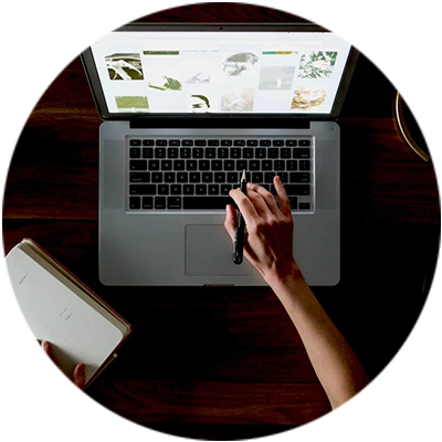 Create Professional Profile