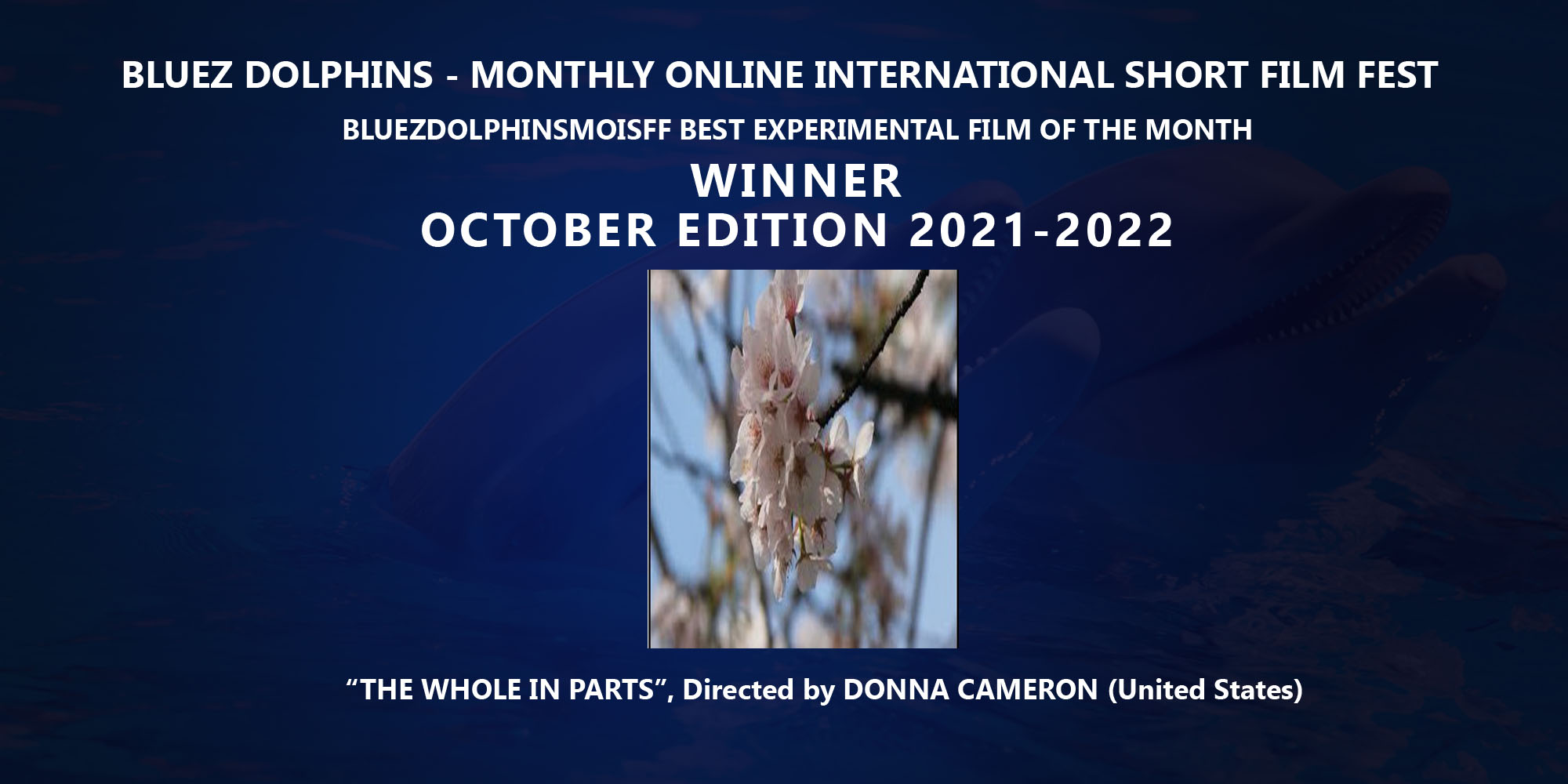 Award Winner October 2021