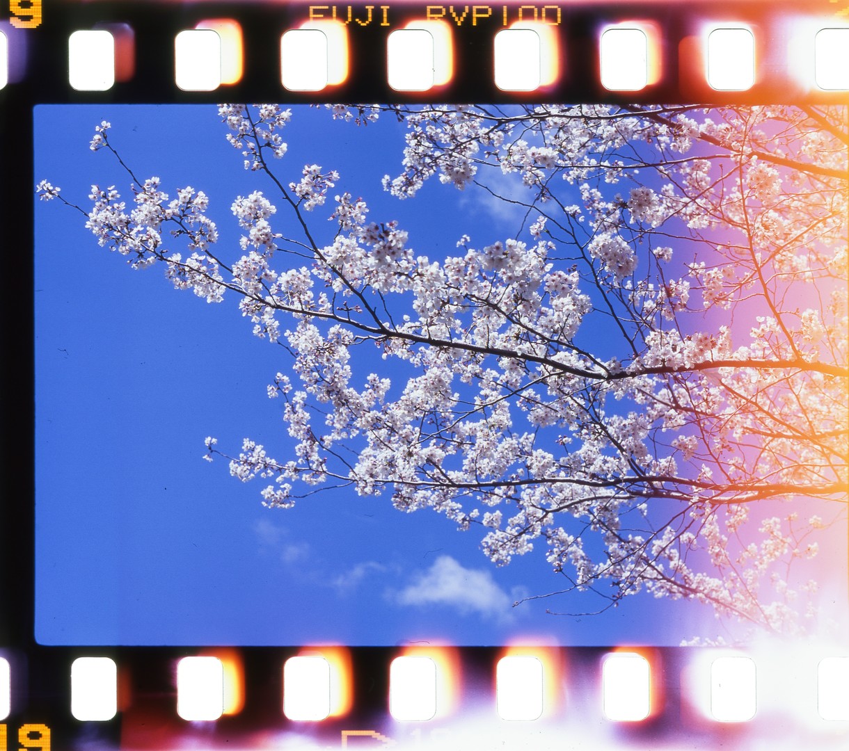 Experimental Film Festivals Athens
