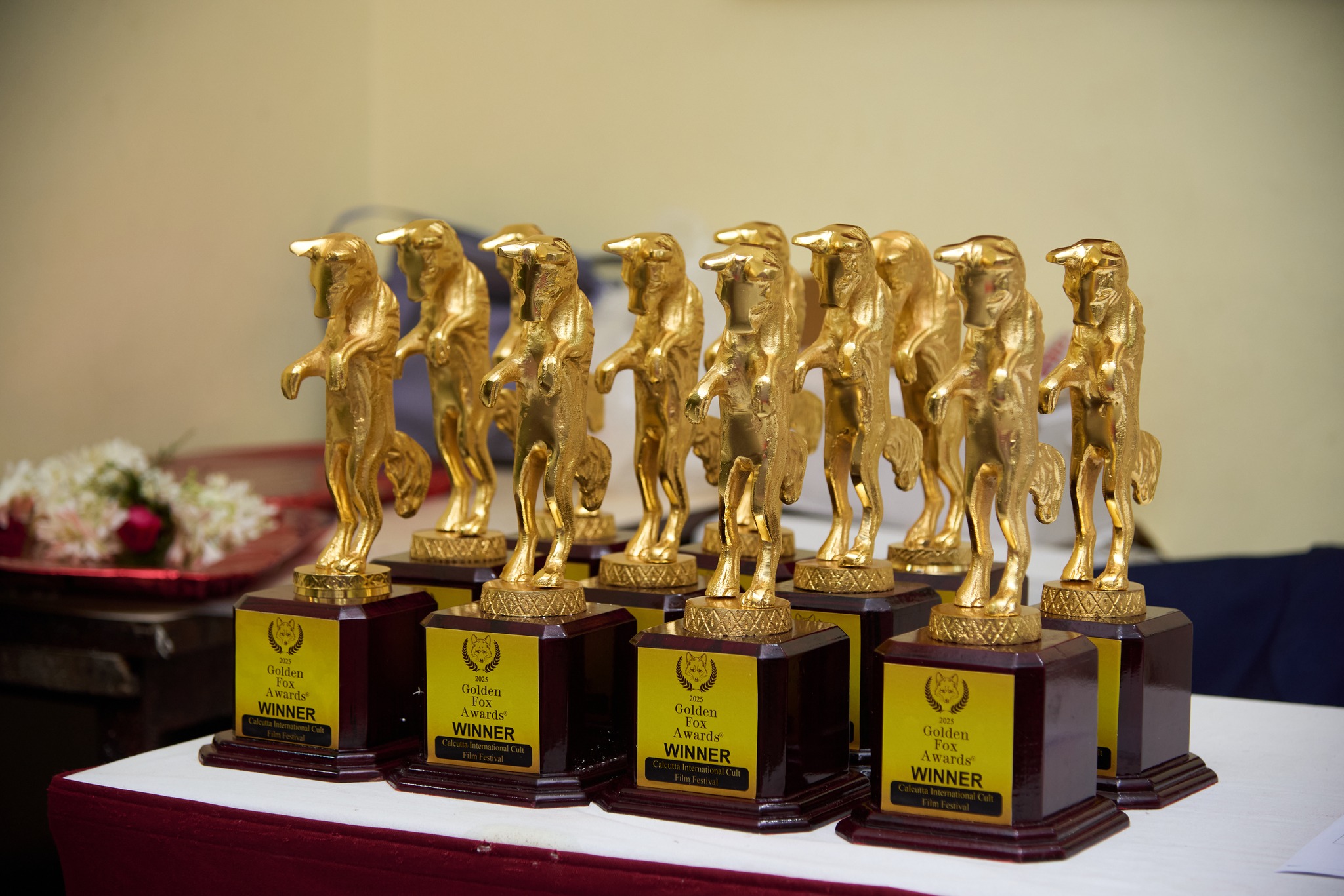 CICFF Annual Screening 2025