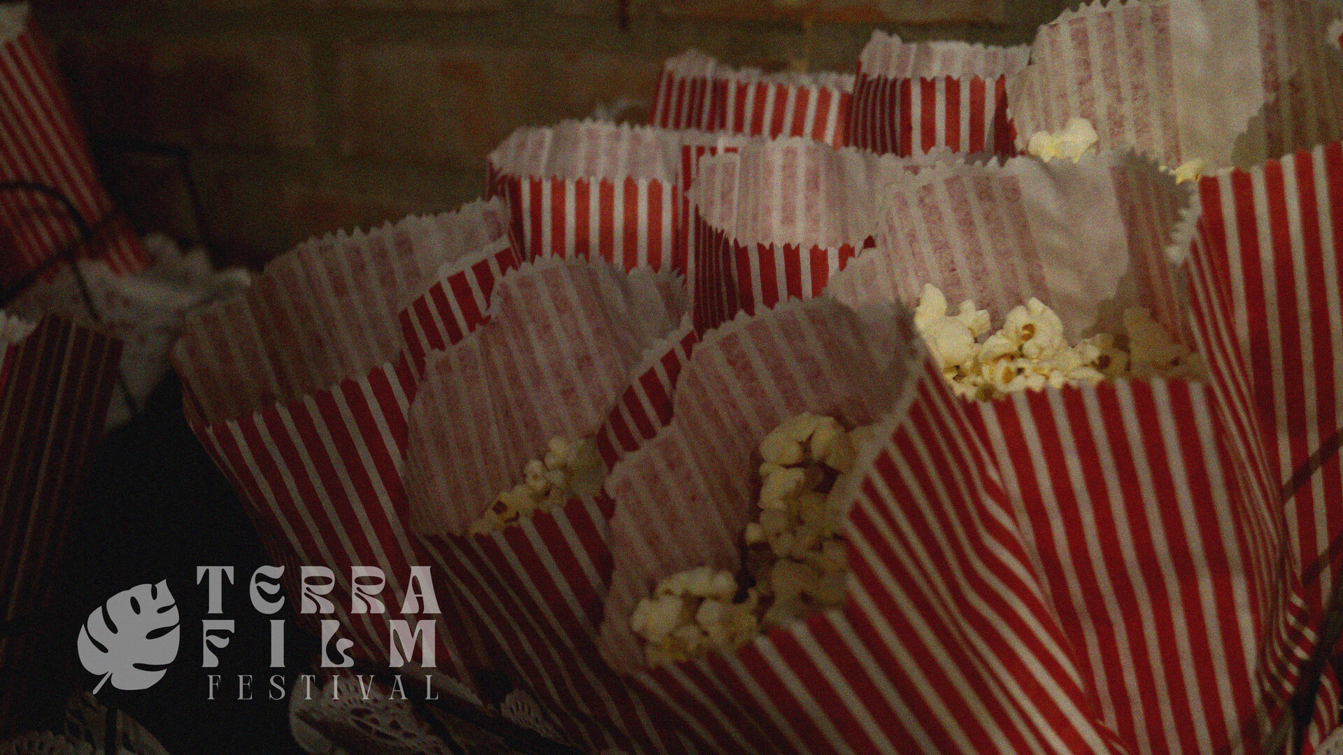 Terra Film Festival
