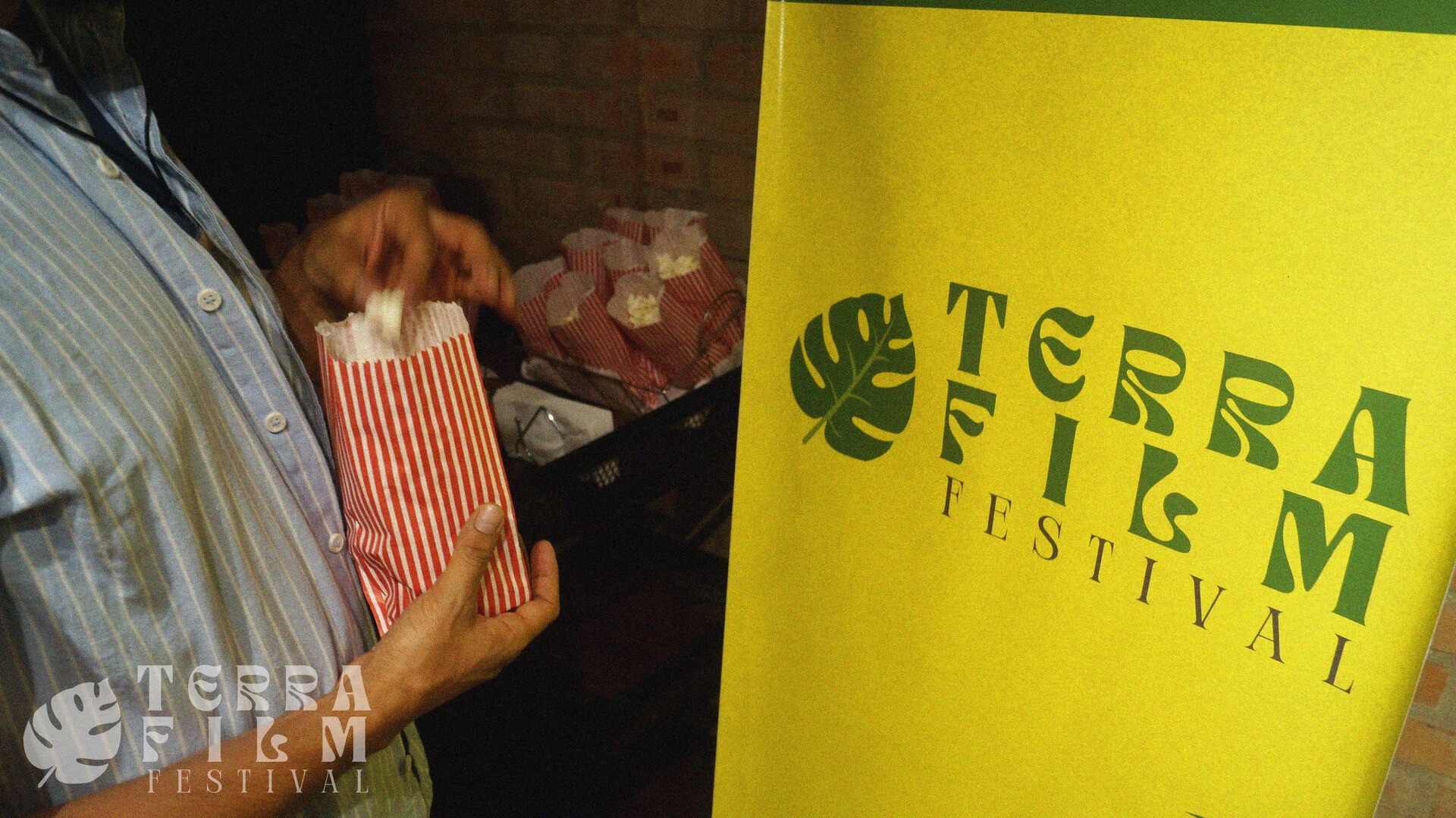 Terra Film Festival