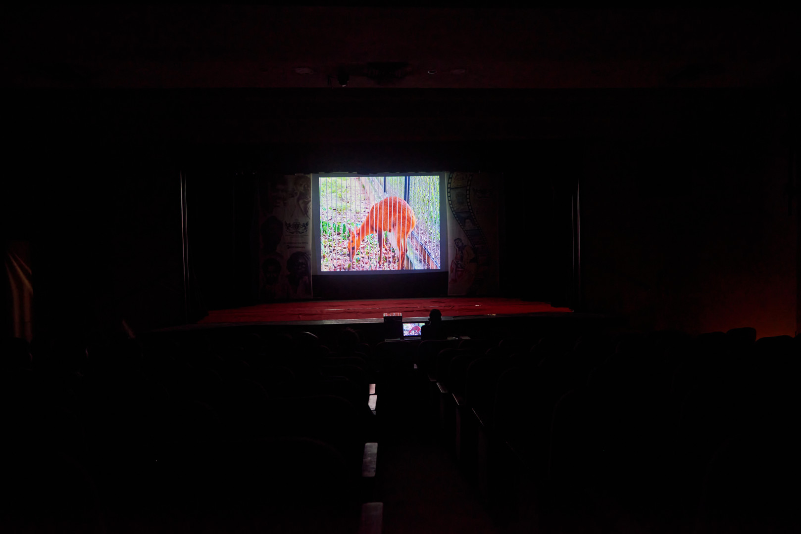 RSMPA Screening